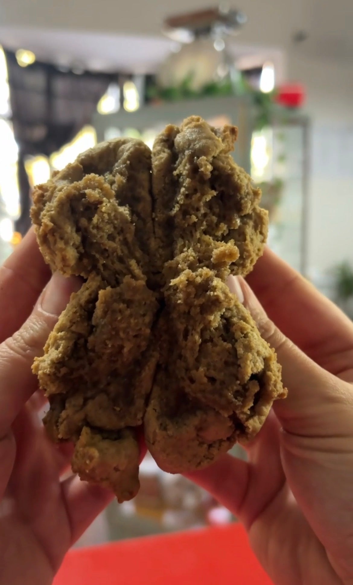 Gingerbread Monster Cookie